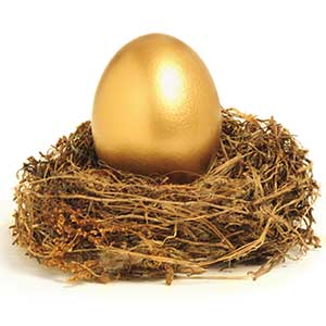 Golden Nest Eggs come from good care of money